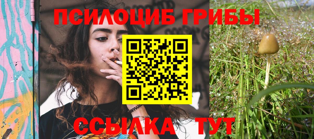 Галлюциногенные грибы прущие грибы Выборг