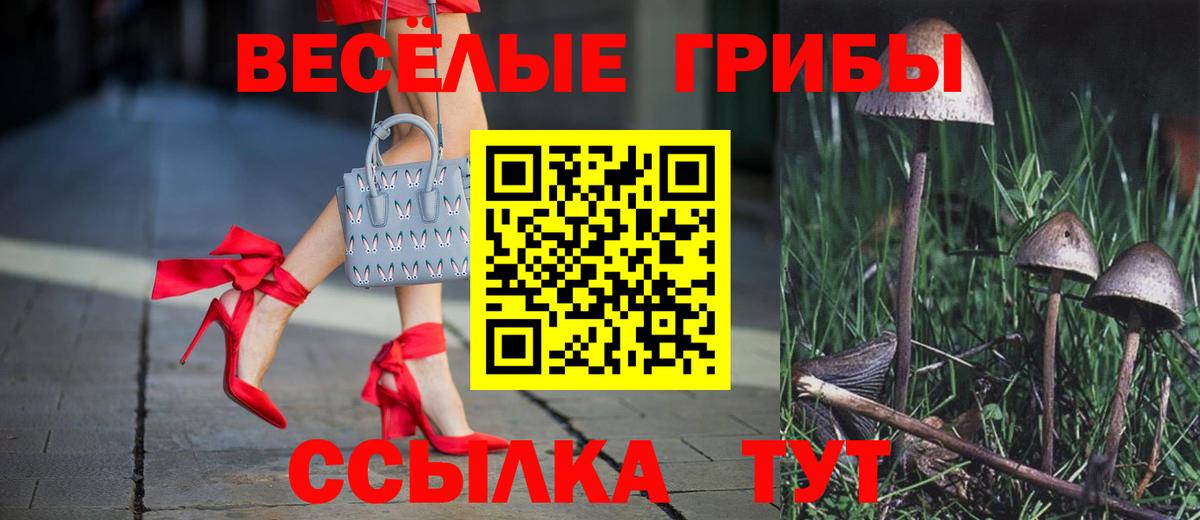Выборг  Галлюциногенные грибы Psilocybine cubensis  Вход с VPN 